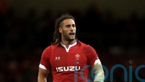 Josh Navidi to return for Wales in Six Nations clash with France