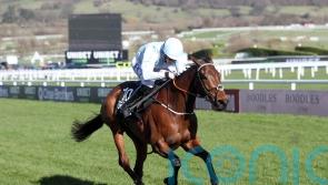 Honeysuckle tops 10 left in Champion Hurdle