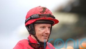 Fehily lining up dual assault on Cheltenham Festival