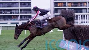 Syndicate of friends living the dream taking on Shishkin and Energumene