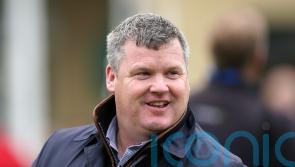 Twelve months on and Elliott can look forward to a very different Cheltenham