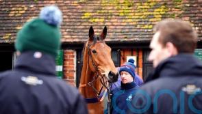 Quality not quantity the watchword for Nicholls at Cheltenham this year