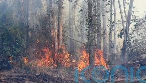 Rainfall eases wildfire threat in Florida but officials urge caution