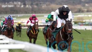 Flooring Porter back to defend Stayers’ Hurdle title