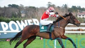 Master McShee drops in trip for Webster Cup