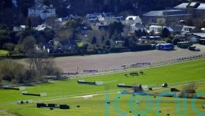 Cheltenham begin watering on New course ahead of Festival