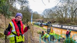 Waterways charity to plant thousands of trees this spring