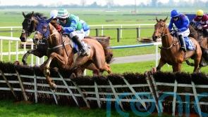 Ronald Pump back over fences for Leinster National challenge