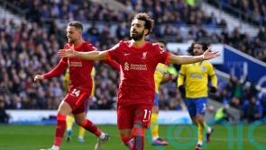 Liverpool maintain momentum with win at Brighton