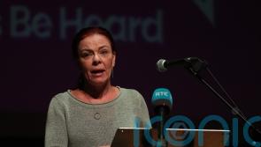 Stormont crisis ‘farcical and very damaging’ – Green Party leader