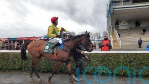 Sizing Pottsie is Webster wonder for Harrington and Power