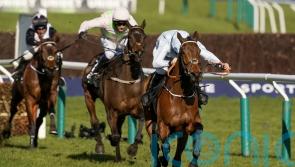 Honeysuckle heads 10 chasing Champion Hurdle honours
