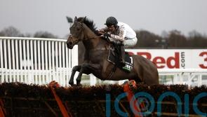 Constitution Hill bids to give Britain a Supreme start