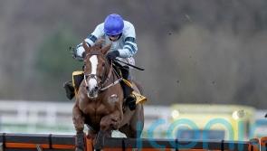 Morrison eager to take Champion challenge with Not So Sleepy