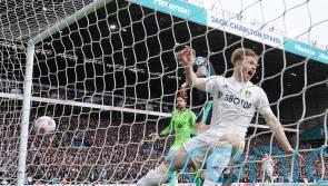 Joe Gelhardt nets last-gasp winner for Leeds after late drama at Elland Road