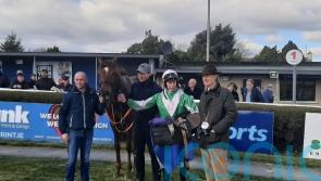 Kilbarry Chloe strikes Grade Three gold at Limerick