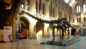 Museum and gallery trips have no impact on GCSE grades – study