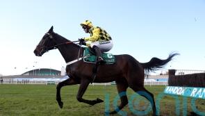 Shishkin and Energumene set for Queen Mother rematch