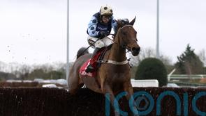 King backing Edwardstone to triumph in Arkle test