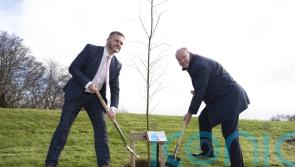 Tree planted at Stormont to mark Queen’s Platinum Jubilee