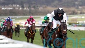 Flooring Porter takes on nine in Stayers’ Hurdle defence