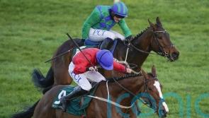 Cheveley team confident Sir Gerhard can bag Ballymore honours