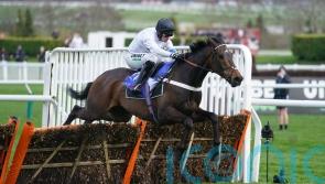 Constitution Hill simply supreme for Henderson