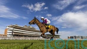 Bravemansgame leads British charge in Brown Advisory