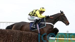 Henderson savouring Energumene rematch with Shishkin in Champion Chase