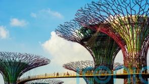 How high-tech city state Singapore became an eco metropolis