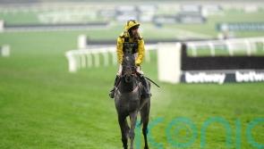 Ground woe for Shishkin and Henderson at Cheltenham