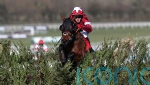 Tiger Roll – the pint-sized horse blessed with the huge heart