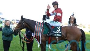 From Triumph Hurdle to National treasure, Tiger did it all