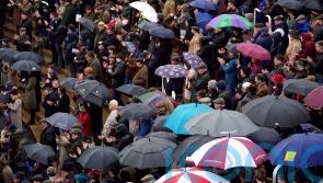 Round Up: Rain leaves Cheltenham heavy, and sinks hopes of Nicholls and Henderson