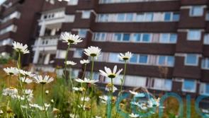 £5m lottery funding for disadvantaged communities to ‘rewild’ their local areas
