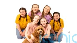 Three sets of twins to star in musical adaption of The Parent Trap