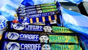 Emiliano Sala’s goalscoring talent led to £15m transfer