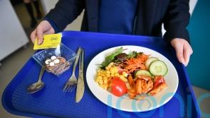 Oversight key to Bill proposing ‘good food nation’, says committee
