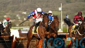 Love conquers all in Mares’ contest at Cheltenham