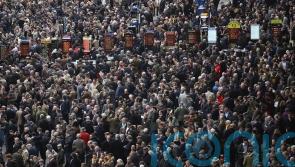 Bookmakers celebrating after big-priced Festival winners