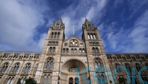 Most visited UK museum in 2021 revealed