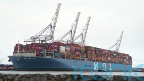 Government ‘struggling to point to tangible wins’ on trade policy, MPs find