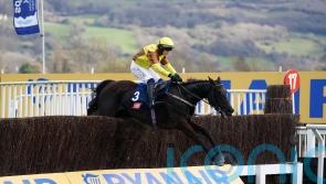 Galopin Des Champs ‘fine’ following unfortunate Festival fall
