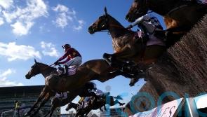 Gallant Minella Indo loses little in Gold Cup defeat