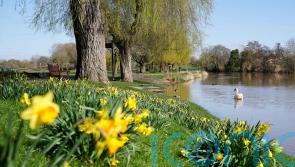 Wall-to-wall sunshine forecast with highest temperature so far this year