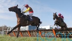 Max Flamingo heading for Irish National after Thurles triumph