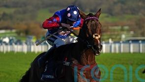 Paisley Park set for Punchestown assignment