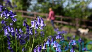 Parts of UK reach 20C as Saturday marks warmest day of the year
