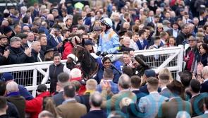 Punchestown possibility for Marie’s Rock