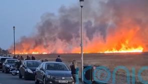 Suspected deliberate fire on marshland ‘devastated’ nature reserve